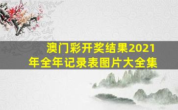 澳门彩开奖结果2021年全年记录表图片大全集