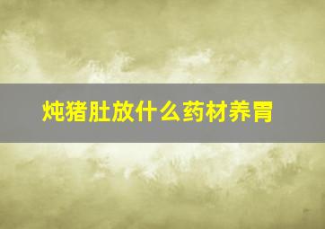 炖猪肚放什么药材养胃