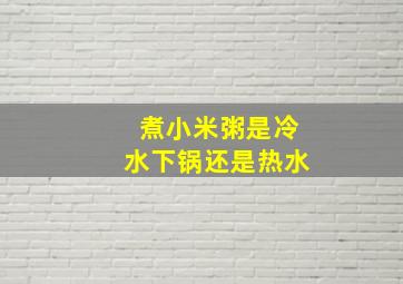 煮小米粥是冷水下锅还是热水