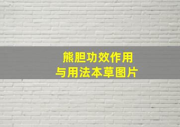 熊胆功效作用与用法本草图片