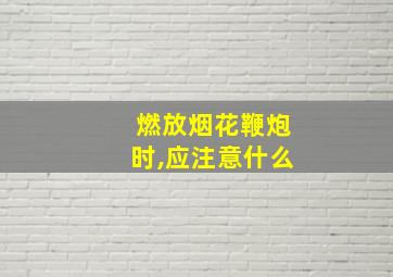 燃放烟花鞭炮时,应注意什么