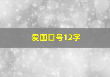 爱国口号12字