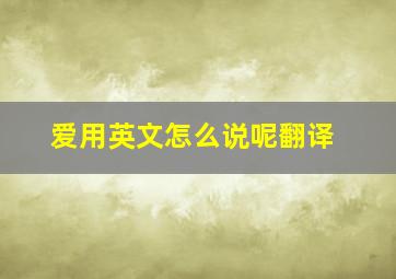 爱用英文怎么说呢翻译