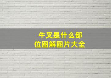 牛叉是什么部位图解图片大全