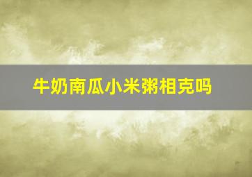 牛奶南瓜小米粥相克吗