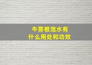 牛蒡根泡水有什么用处和功效