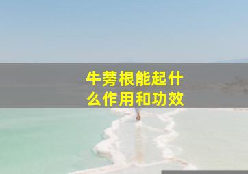 牛蒡根能起什么作用和功效