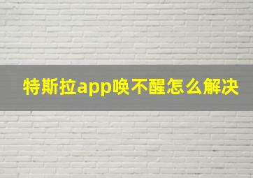 特斯拉app唤不醒怎么解决