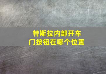 特斯拉内部开车门按钮在哪个位置