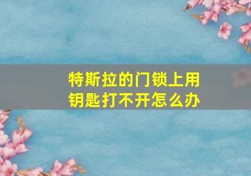 特斯拉的门锁上用钥匙打不开怎么办