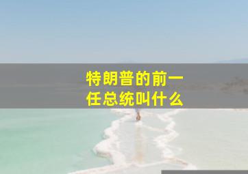 特朗普的前一任总统叫什么