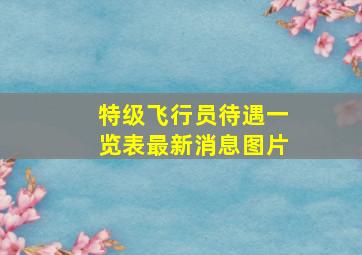 特级飞行员待遇一览表最新消息图片