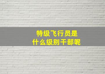 特级飞行员是什么级别干部呢