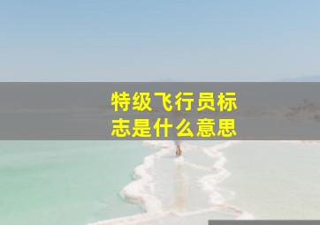 特级飞行员标志是什么意思