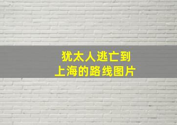 犹太人逃亡到上海的路线图片