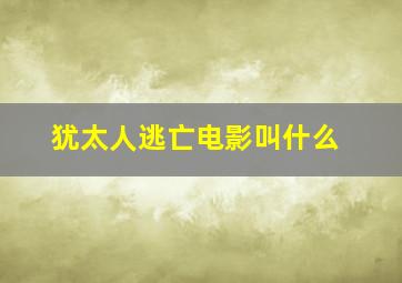 犹太人逃亡电影叫什么