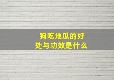 狗吃地瓜的好处与功效是什么