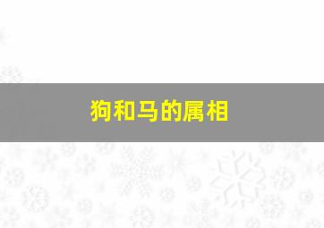 狗和马的属相