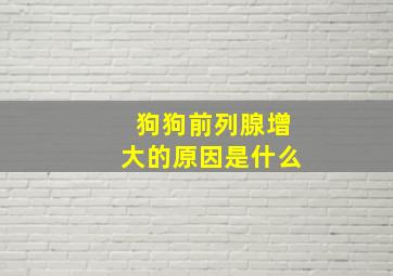 狗狗前列腺增大的原因是什么