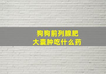 狗狗前列腺肥大囊肿吃什么药