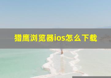 猎鹰浏览器ios怎么下载