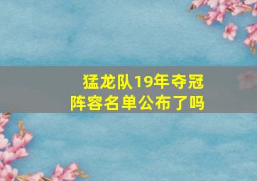 猛龙队19年夺冠阵容名单公布了吗