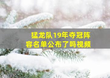 猛龙队19年夺冠阵容名单公布了吗视频