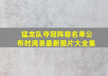 猛龙队夺冠阵容名单公布时间表最新图片大全集