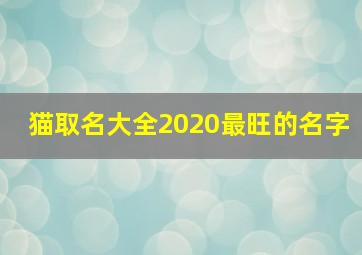 猫取名大全2020最旺的名字