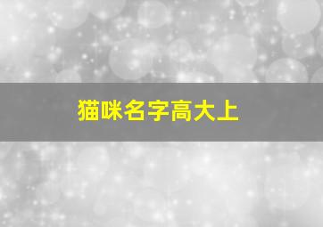 猫咪名字高大上