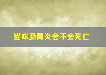 猫咪肠胃炎会不会死亡