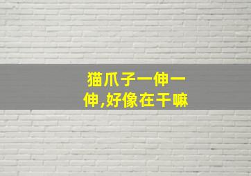 猫爪子一伸一伸,好像在干嘛