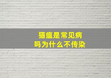 猫瘟是常见病吗为什么不传染