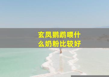 玄凤鹦鹉喂什么奶粉比较好