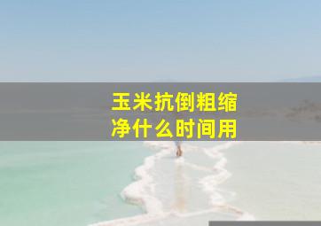 玉米抗倒粗缩净什么时间用