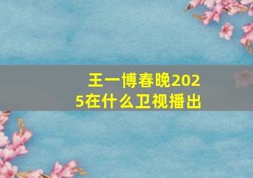 王一博春晚2025在什么卫视播出