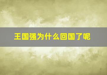 王国强为什么回国了呢