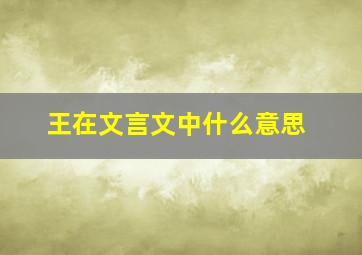 王在文言文中什么意思