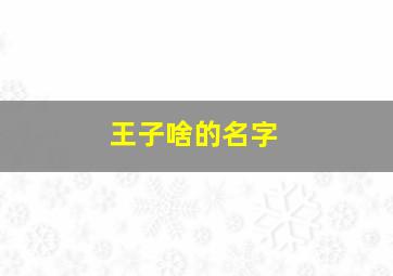 王子啥的名字