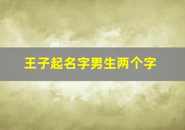 王子起名字男生两个字