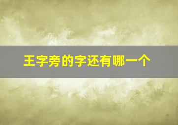 王字旁的字还有哪一个