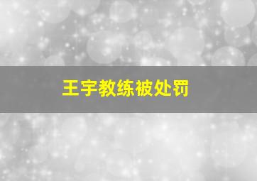 王宇教练被处罚