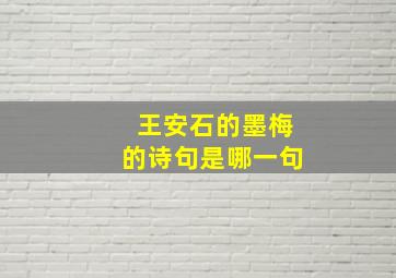 王安石的墨梅的诗句是哪一句