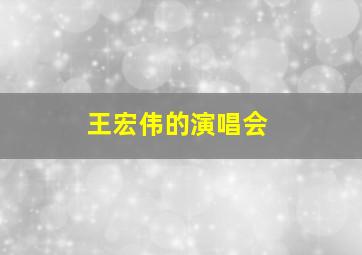 王宏伟的演唱会