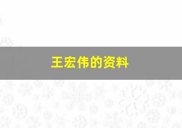 王宏伟的资料