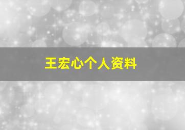 王宏心个人资料