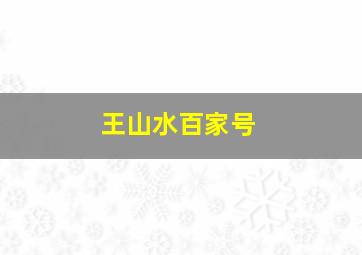 王山水百家号