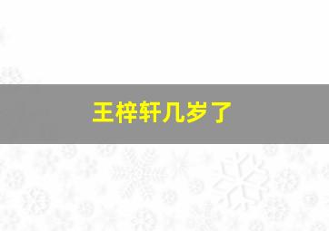 王梓轩几岁了