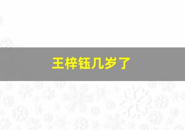 王梓钰几岁了