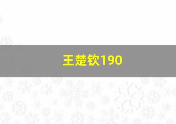 王楚钦190